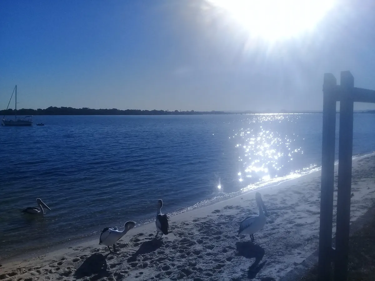 Sunlight sparkling across Pumicestone Passage beside the Bribie Island shoreline
